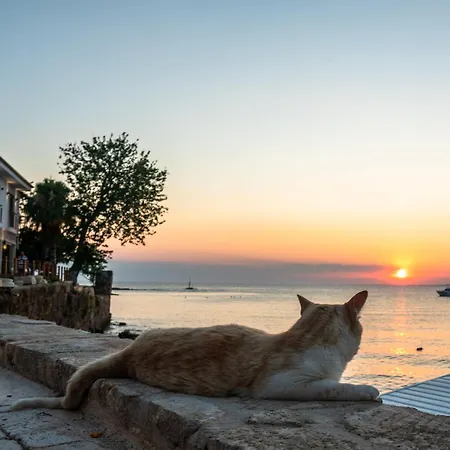 Elia Διαμέρισμα Σιντέ