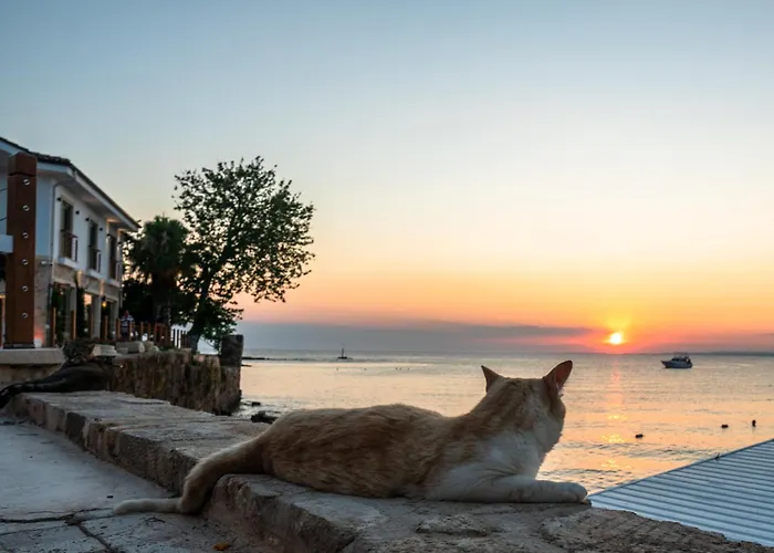 Elia Διαμέρισμα Σιντέ